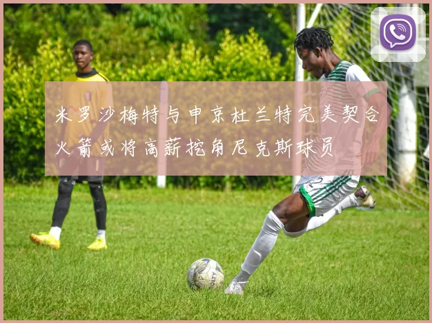 米罗沙梅特与申京杜兰特完美契合火箭或将高薪挖角尼克斯球员