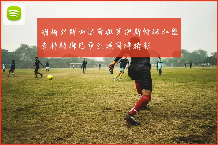 胡梅尔斯回忆曾邀罗伊斯特狮加盟多特特狮巴萨生涯同样精彩