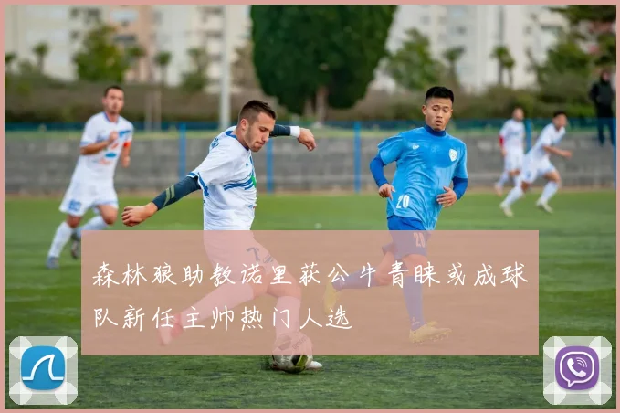 森林狼助教诺里获公牛青睐或成球队新任主帅热门人选